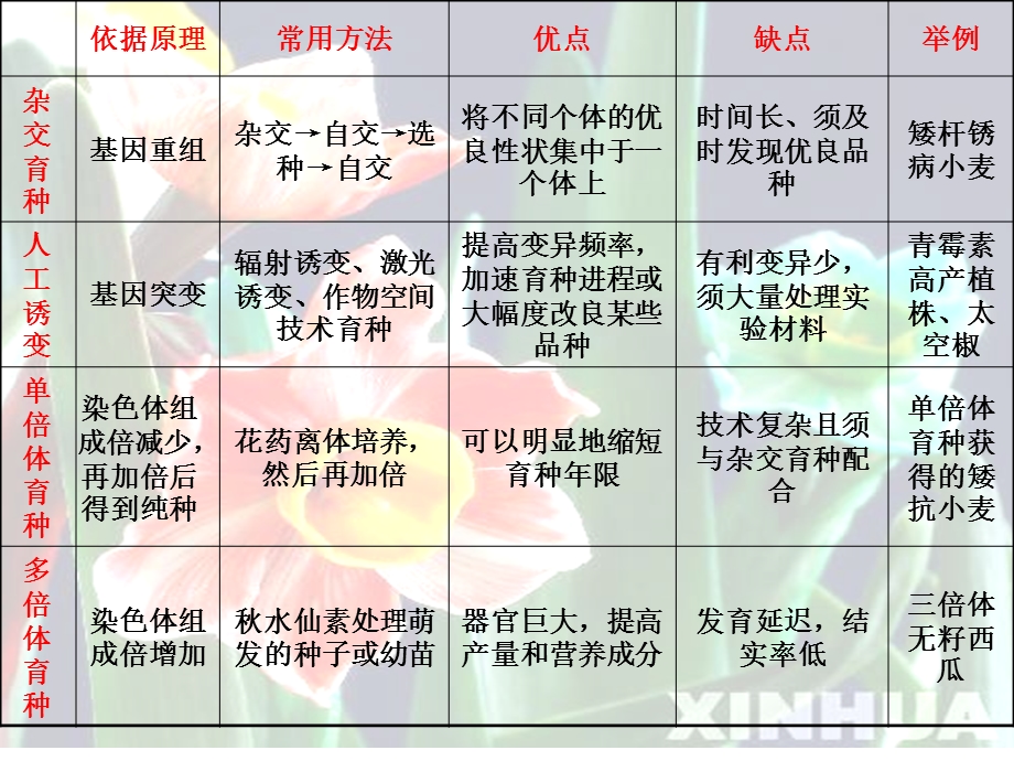 常见育种方法ppt课件.ppt_第2页