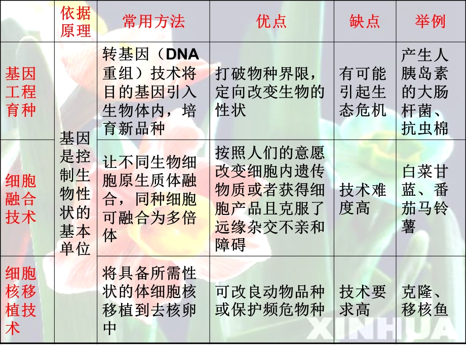 常见育种方法ppt课件.ppt_第3页