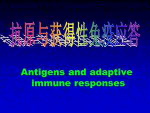 抗原与获得性免疫应答课件.ppt