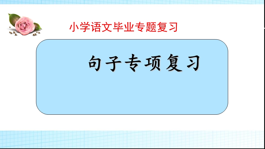 小学语文毕业专题复习—句子课件.ppt_第1页