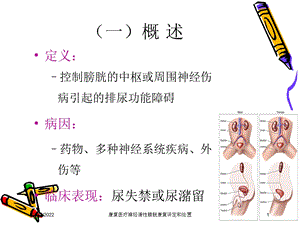 康复医疗神经源性膀胱康复评定和处置课件.ppt