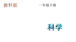 教科版科学一年级下册：22校园里的动物(课件).pptx