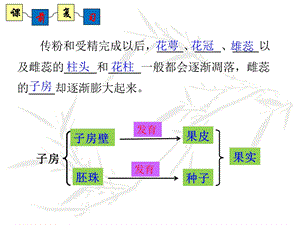 济南版生物八年级上册《种子的萌发》课件.ppt