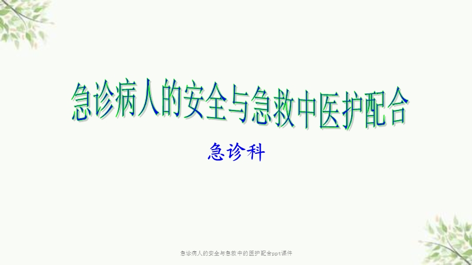 急诊病人的安全与急救中的医护配合课件.ppt_第1页