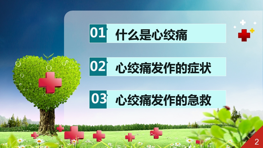 心绞痛的家庭急救ppt课件.ppt_第2页