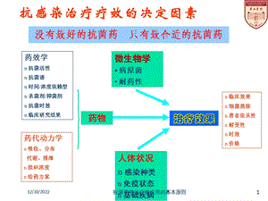 抗菌药物治疗性应用的基本原则培训课件.ppt