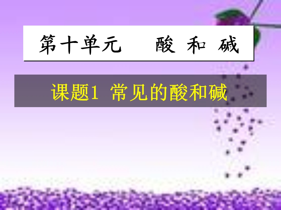 常见的酸和碱（常见的酸）ppt课件.ppt_第2页