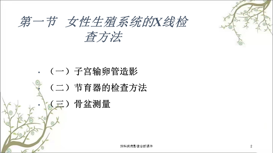 妇科疾病影像诊断课件.ppt_第2页