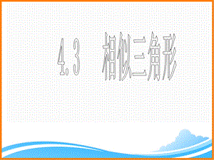 浙教版初中数学九年级上册《相似三角形》课件.ppt