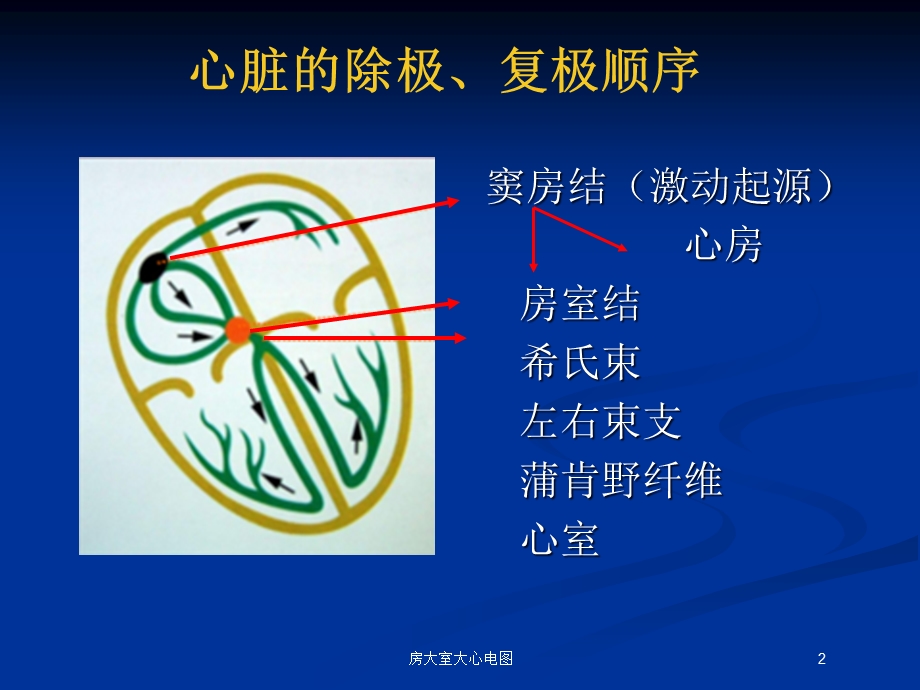 房大室大心电图培训课件.ppt_第2页