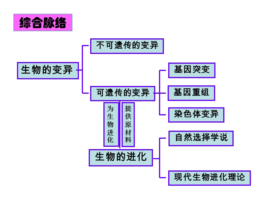 生物的进化复习课件.ppt_第3页