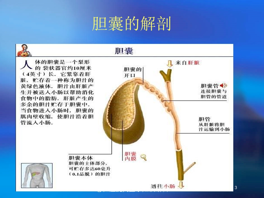 急性胆囊炎医学知识培训培训课件.ppt_第3页