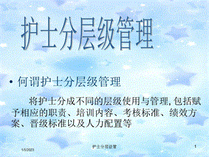 护士分层级管培训课件.ppt