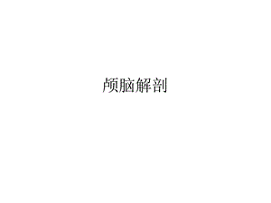 大脑解剖图谱课件.ppt