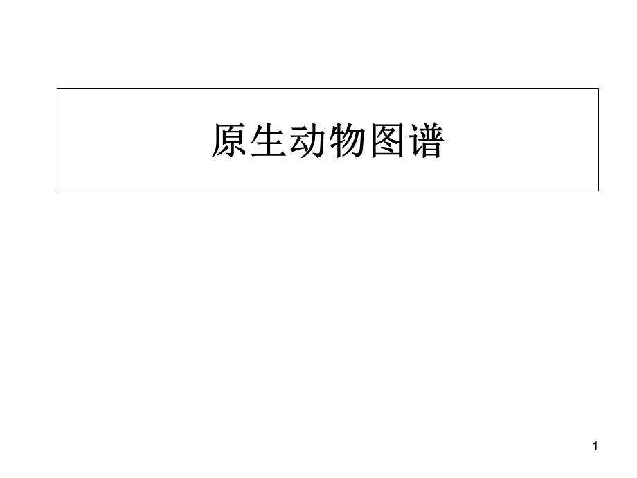 常见寄生虫图谱教学课件.ppt_第1页