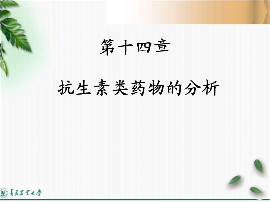 抗生素类药物的分析(好)剖析ppt课件.ppt_第1页