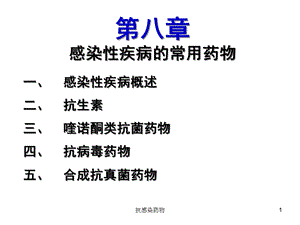 抗感染药物课件.ppt