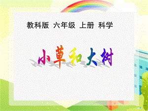 小学科学六年级上册《小草和大树》课件.ppt