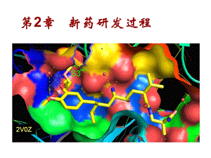 新药研发的过程课件.ppt