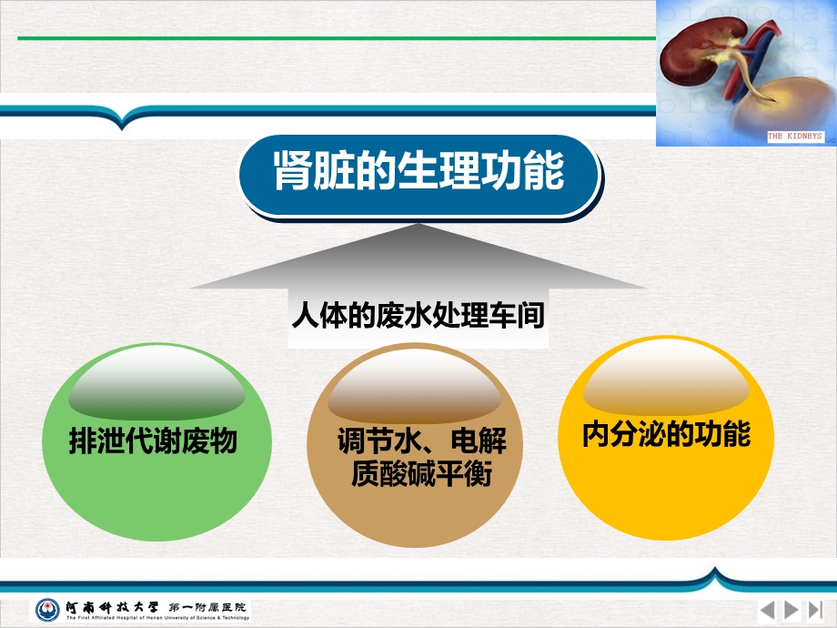 急性肾功能衰竭业务学习公开课课件.ppt_第2页