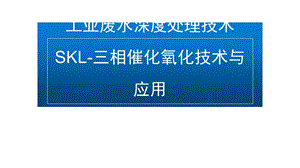 工业废水深度处理技术神克隆课件.ppt