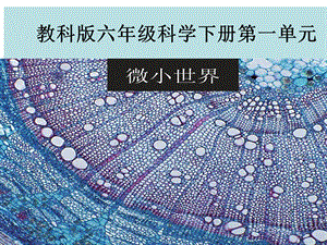 教科版六年级科学下册第一单元《放大镜》ppt课件.ppt