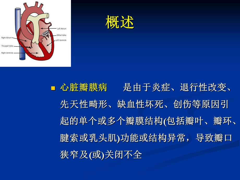 心脏瓣膜病人手术的麻醉ppt课件.ppt_第3页