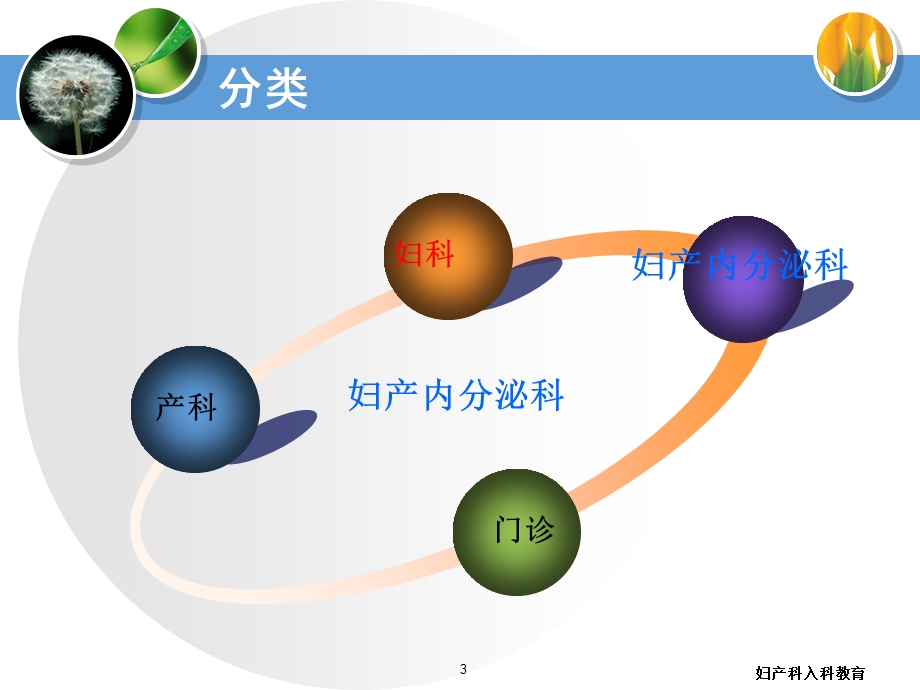 妇产科入科教育培训课件.ppt_第3页