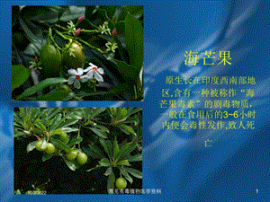 常见有毒植物医学培训课件.ppt