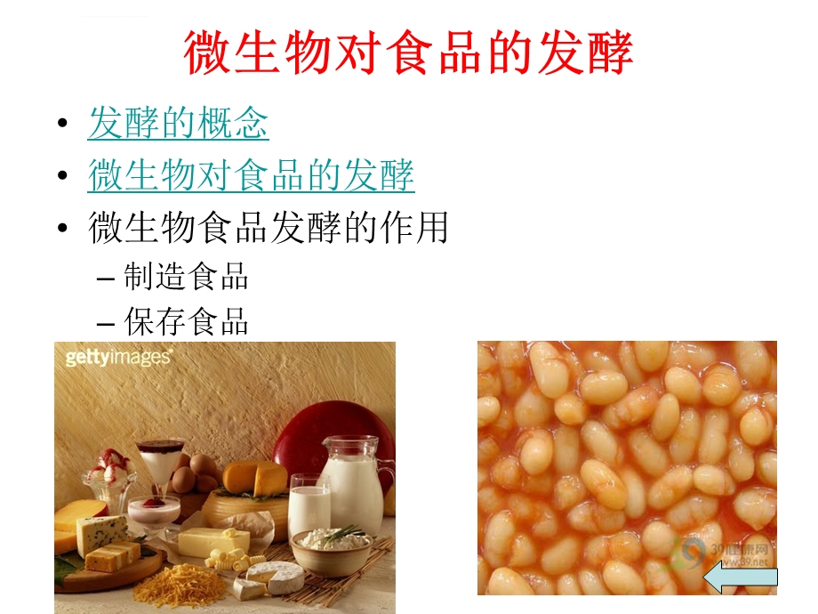 微生物与食品制造ppt课件.ppt_第3页