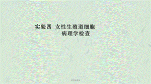 宫颈细胞学课件.ppt