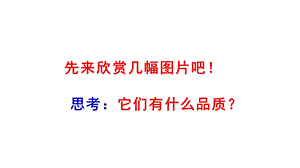 小学语文人教部编版六年级上册2丁香结课件.pptx