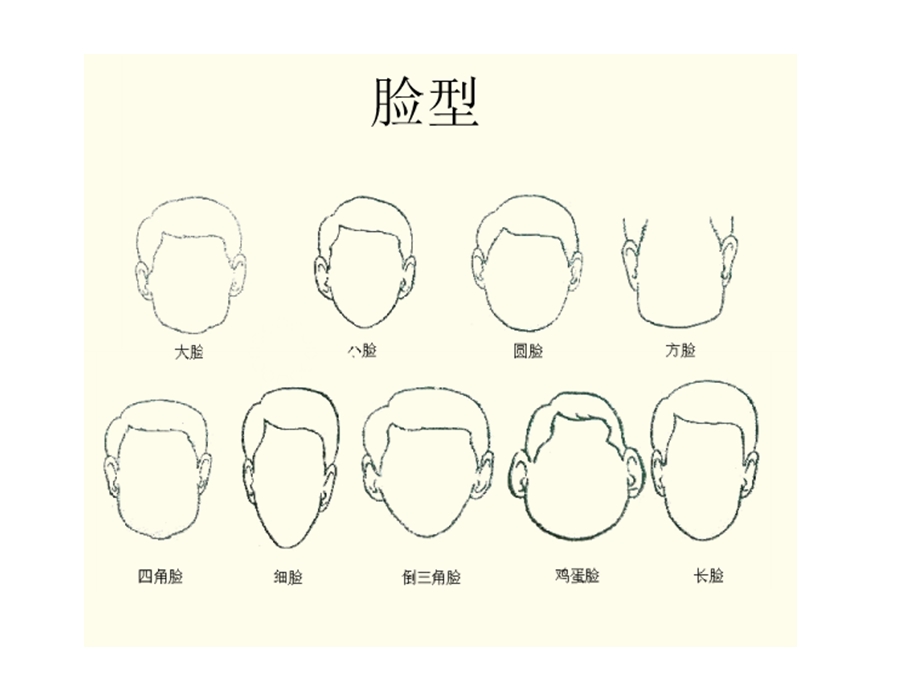 教科版六年级科学上册《相貌各异的我们》课件.ppt_第2页