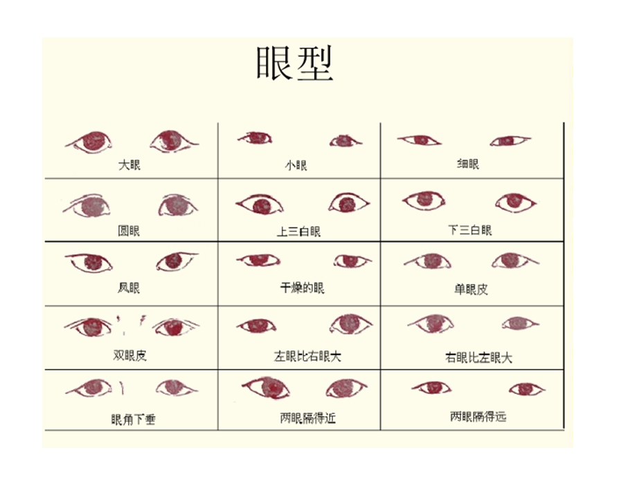 教科版六年级科学上册《相貌各异的我们》课件.ppt_第3页