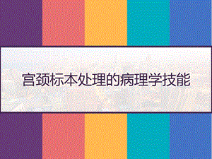 宫颈标本处理的病理学技能课件.pptx