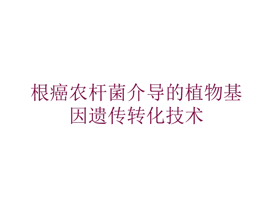 根癌农杆菌介导的植物基因遗传转化技术培训课件.ppt_第1页