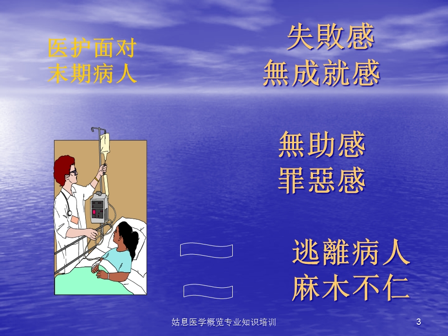 姑息医学概览专业知识培训培训课件.ppt_第3页