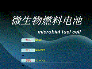 微生物燃料电池ppt课件.ppt