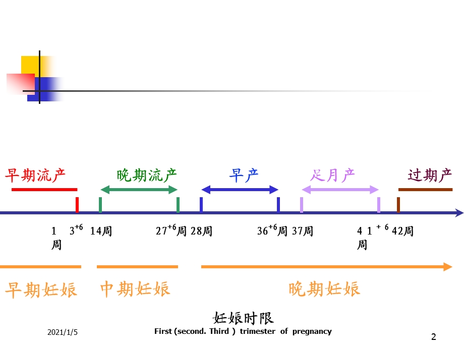 妇产科课件正常分娩.ppt_第2页