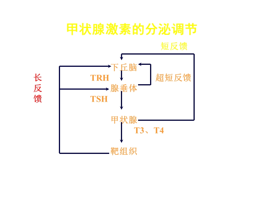 甲状腺激素抵抗综合征课件.ppt_第1页