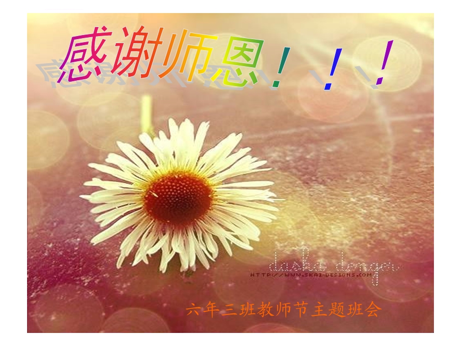 教师节班会ppt课件.ppt_第1页