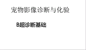 宠物诊疗技术：B超基础课件.ppt