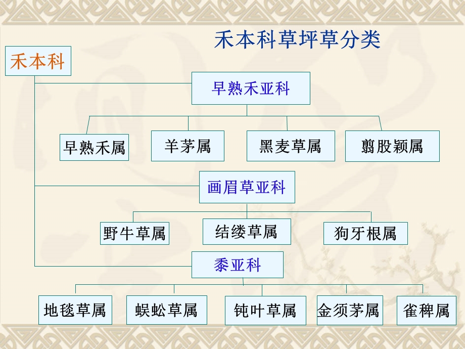 常见草坪草种简介(1暖季型)ppt课件.ppt_第3页