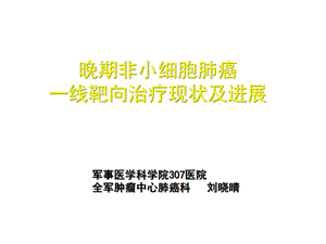 晚期非小细胞肺癌一线靶向治疗现状及进展精选课件.ppt