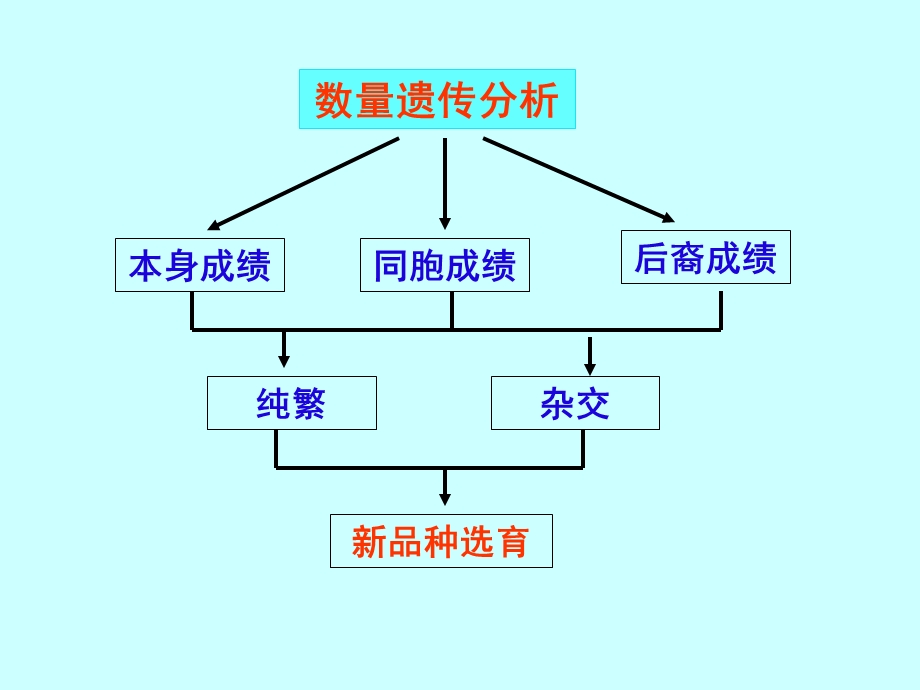 数量性状标记辅助育种原理数量性状基因座QTLppt课件.ppt_第3页