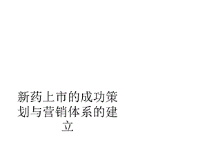 新药上市的成功策划与营销体系的建立共41张课件.ppt