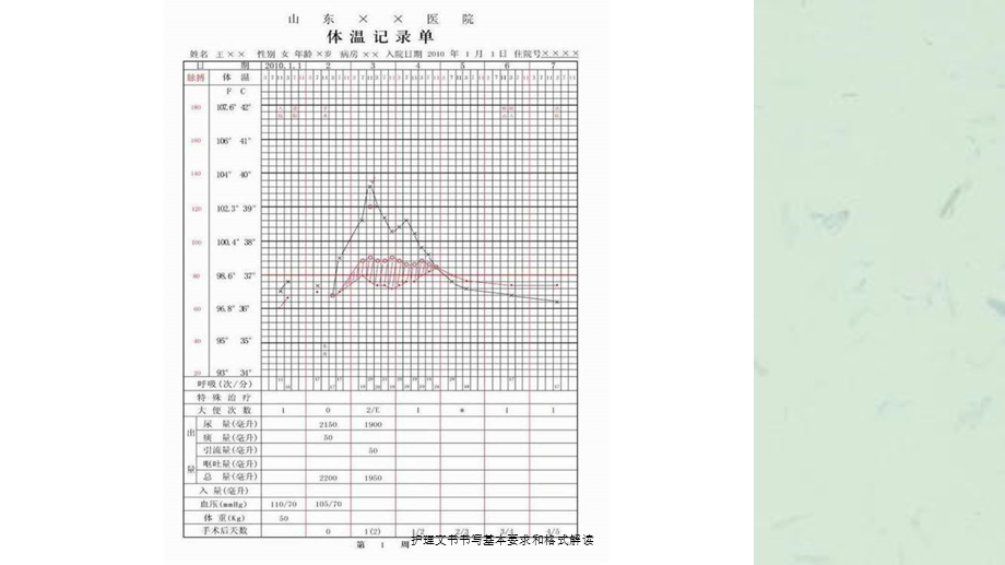 护理文书书写基本要求和格式解读课件.ppt_第3页