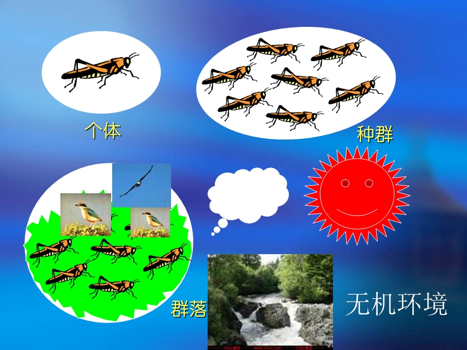 生物：51《生态系统的结构》课件5新人教版必修3.ppt_第3页