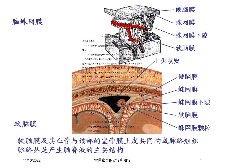 常见脑炎的诊疗和治疗课件.ppt_第1页