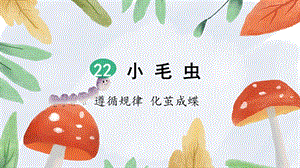 小毛虫(第课时)课件.pptx